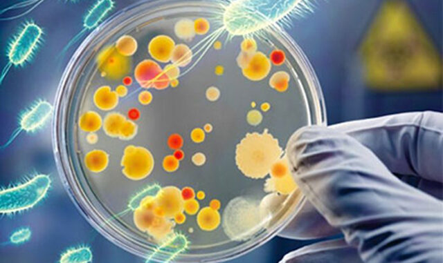 Antibioticos 2